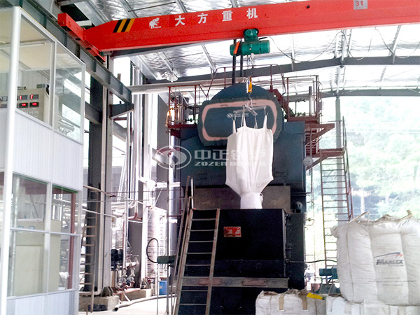 8噸DZL生物質(zhì)蒸汽鍋爐項目