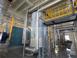 中正鍋爐為正陽(yáng)魯花花生油提供立式導(dǎo)熱油鍋爐