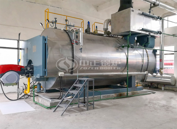 8噸WNS系列冷凝式燃?xì)庹羝仩t項目