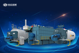 互聯網時代大有作為 中正冷凝式天然氣鍋爐系統為上海鮮花港貢獻力量